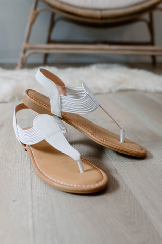 Resort Collection