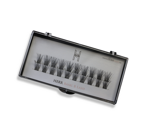 [ Basic B Lash ]