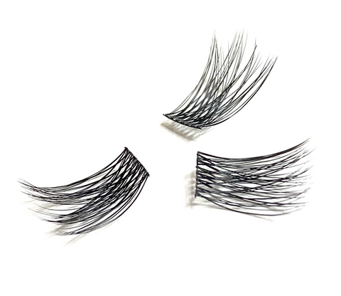 [ Basic B Lash ]